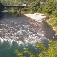 今日の那賀川上流
