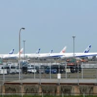 羽田空港　欠航の影響
