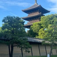 もうすぐ活動再開します、ただし控えめ