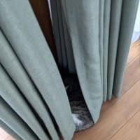 クリンへの想いは尽きなくて・・・260