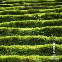 久しぶりの鎌倉。