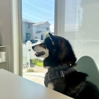 働いてやってる？働かせていただいている？