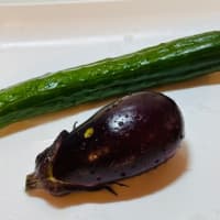 我が家のお盆🙏