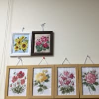 施設内の壁絵、、、
