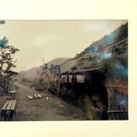 箱根目指して（2025東海道no3)