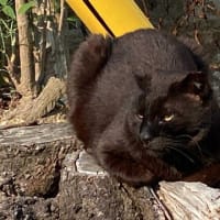 5人席のイートインの真ん中に座る人がいたけど…。
