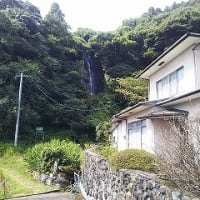 日傘をさして、キツネノカミソリから白糸の滝