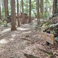 丸子城 駿河 その２ 　東海道を扼する規模が大きく城郭遺構がてんこ盛りの山城