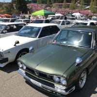 5年前夏の女鹿平スキー場でありました