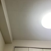 今日。