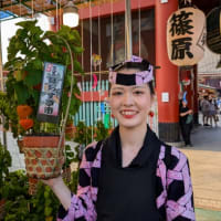何年かぶりの「ほおずき市」