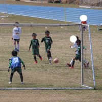 U-12、U-10 TM