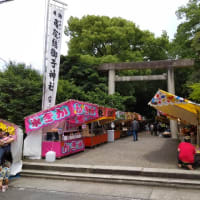 ５月３１日千代田橋緑地テニスコートはやってしまった