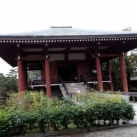 06/23奈良京都への旅-11（法隆寺東院伽藍：夢殿＆中宮寺訪問）