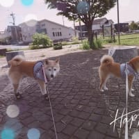 暑い日が