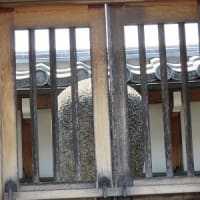 彦根・大信寺(2)井伊直孝の歯を祀る御廟