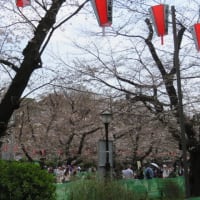 春の上野公園