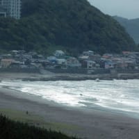 今朝の鴨川　　25/06/23
