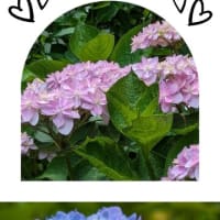 ６月３日