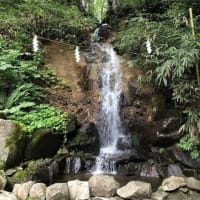 夏の自然菜園体験ツアー【食農イベント】