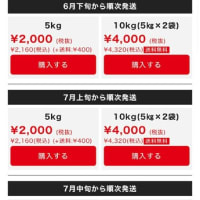 備蓄米