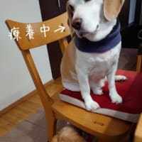 付きまとわれる男。