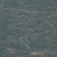 2009年　ヨーロッパキャンプ旅行　ギリシャ　デルフィ