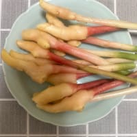 葉生姜