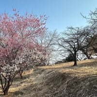 夜明けの月に導かれて　そして春がきた
