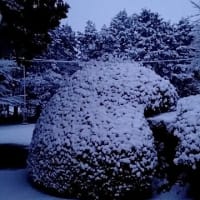 2022年1月6日の関東平野での大雪