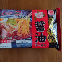 菊水　袋生麺シリーズ①