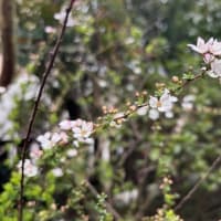 新しい季節へ