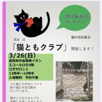 3/26（日）猫ともクラブin富田林市開催します。