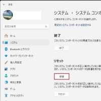 Windows 11 Canary Build 27898.1000 にアップデートしたら、Microsoft Store が起動できなくなりました！！