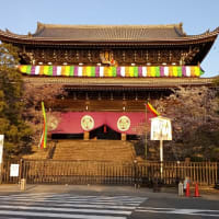 イベント満載の旅　　京都・大阪・近江八幡