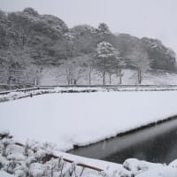 金沢城