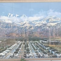 天山村の買収