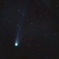 四度目のポン・ブルックス彗星