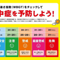 「ちょっとした夏の事情～水泳～」