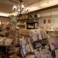 本日は布ナプ専門店なり