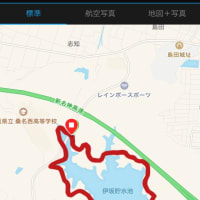 伊坂ダム9周(31.4キロ)
