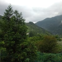 令和7年6月17日・今朝の東祖谷22℃（18.4℃）