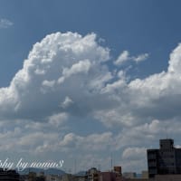 雲