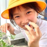 尊厳死について
