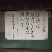 妙蓮寺散歩ーシェア畑・慈雲寺・菊名池