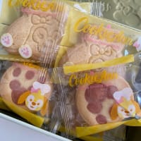 クッキーアン　2020年　お正月からディズニー　インパ