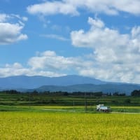 トンボと遊びながら・・・加美町・もち処大滝