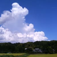 見事な“もくもく雲”