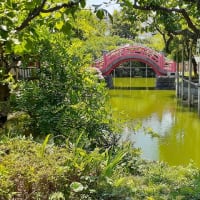 夏越の大祓「亀戸天神」