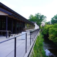 新緑の「京都を歩く会」しょうざんリゾート渓涼床とタイル他